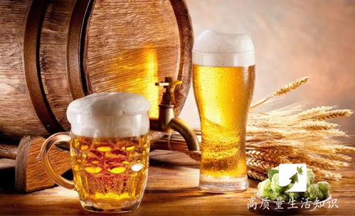 盤錦酒桌規(guī)矩解密 1杯白酒到底等于多少瓶啤酒？